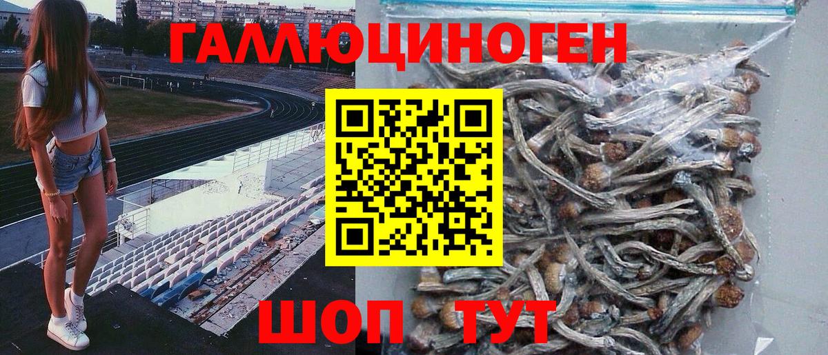 Псилоцибиновые грибы мицелий Ростов Великий